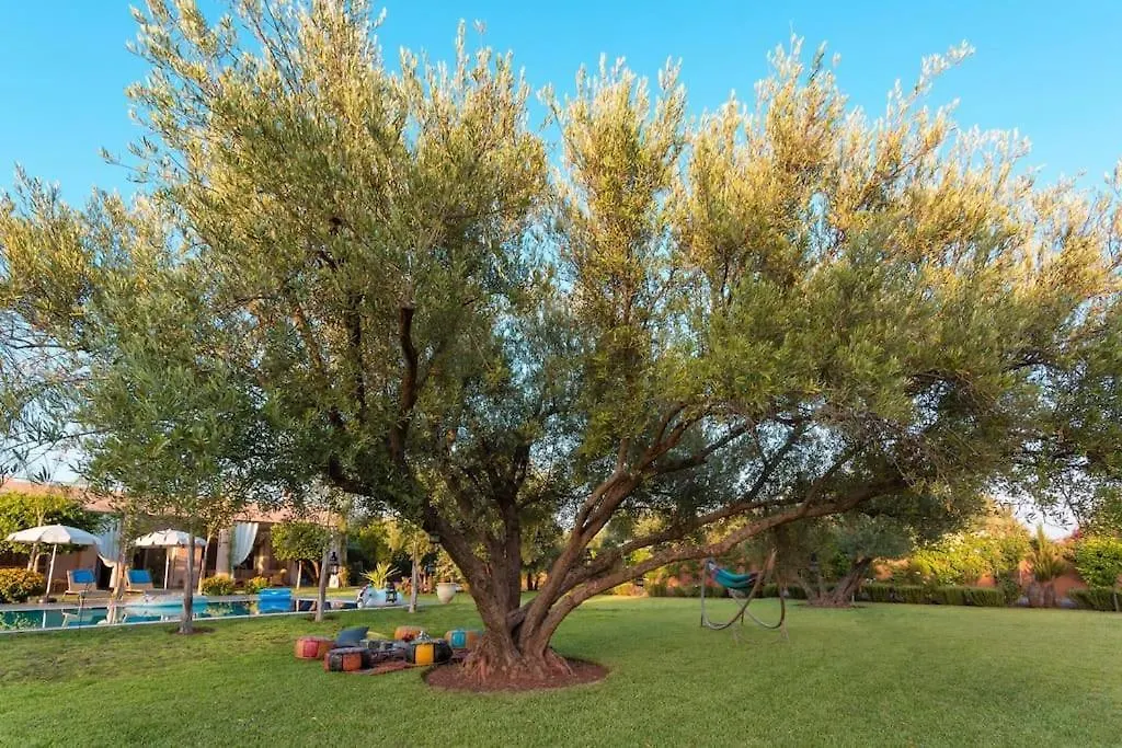 Domaine Jnane Rkia Villa Marrakesh